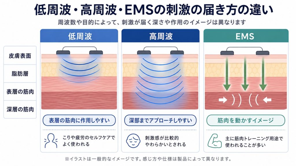 低周波・高周波・EMSの刺激の届き方の違い