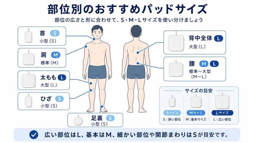人体図に部位別のおすすめパッドサイズを示した図解